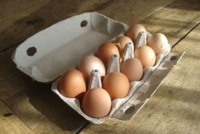 En İyi ve Çok Kazandıran Perakendecilik Konseptleri : Tavuk Evlat Edinme İle Yumurta Tavukçuluğu